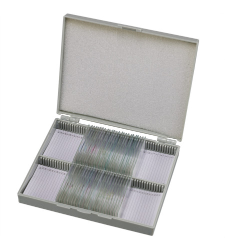 Prepared Slides: Animals BRESSER 30 slides