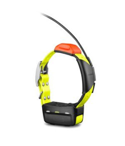 T 5X Dog Device, EU