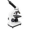 Digital Microscope Levenhuk D2L 40x-400x Moonstone with experimental kit and digit