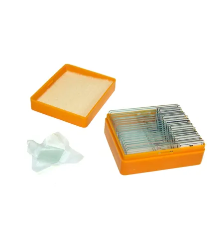 Levenhuk N20 NG Prepasarkans Slides Set, Bioloģija un Psiholoģija