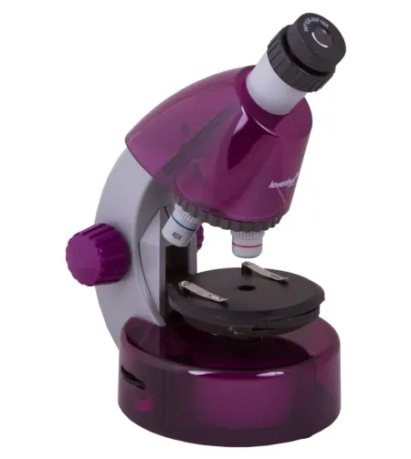 Microscope for children, Levenhuk LabZZ M101 Amethyst, 40x-640x, with Experiment kit