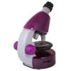 Microscope for children, Levenhuk LabZZ M101 Amethyst, 40x-640x, with Experiment kit