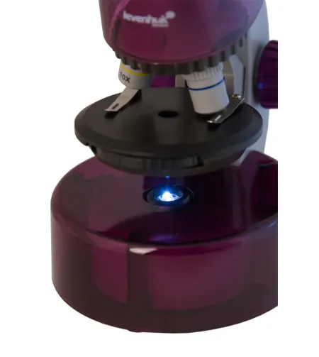 Microscope for children, Levenhuk LabZZ M101 Amethyst, 40x-640x, with Experiment kit