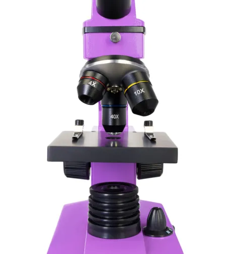 Mikroskopas Levenhuk Rainbow 2L PLUS Amethyst 64x - 640x su eksperimento komplektu K50