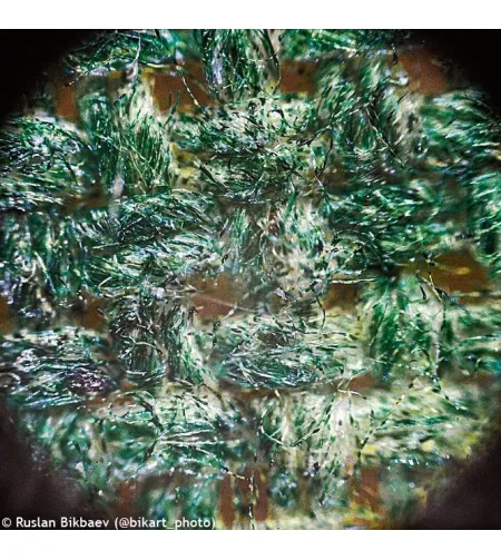 Mикроскоп Levenhuk Rainbow 50L PLUS Amethyst 64x–1280x с экспериментальным комплектом К50