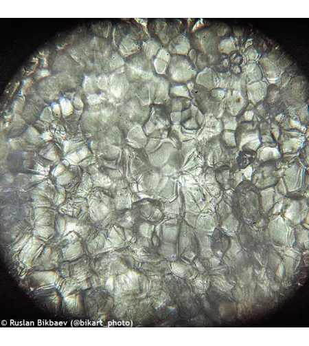 Mикроскоп Levenhuk Rainbow 50L PLUS Lime 64x–1280x с экспериментальным комплектом К50