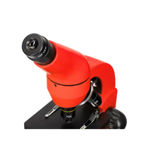 Mikroskopas Levenhuk Rainbow 50L PLUS Orange 64x–1280x su eksperimentiniu rinkiniu K50