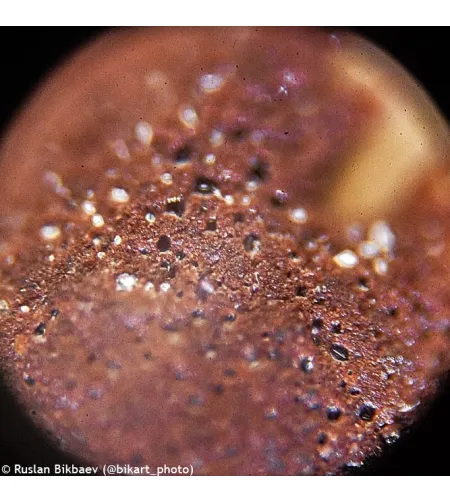 Levenhuk D50L PLUS 2.5M Mikroskops ar digitālo kameru Baltā Krāsā