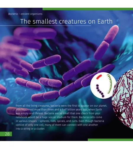 Grāmata Ceļo ar Mikroskopu "Neredzamā Pasaule" (Eng. Invisible World. Knowledge book)