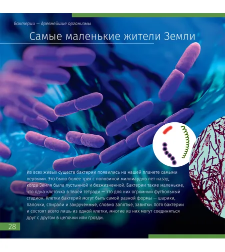 Grāmata ceļo ar mikroskopu '' Neredzamās pasaule'' rus. ( Невидимый мир. Книга знаний Leve