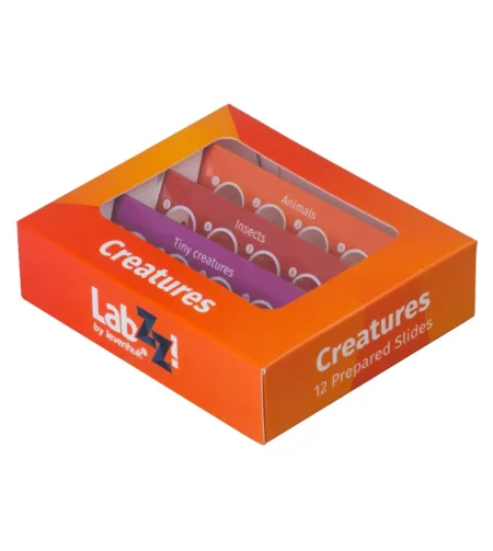 Prepared Slides Set Levenhuk LabZZ C12 Creatures