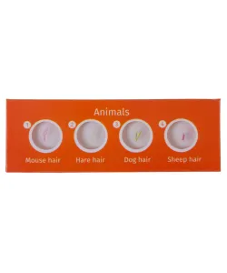 Prepared Slides Set Levenhuk LabZZ C12 Creatures