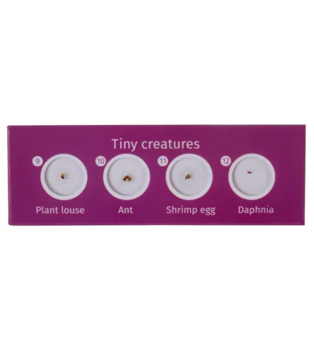 Prepared Slides Set Levenhuk LabZZ C12 Creatures