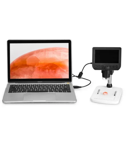 Digitaalne mikroskoop Levenhuk DTX 350 LCD 20x-300x