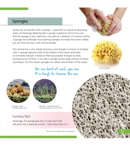 Invisible World. Knowledge book (ENG)