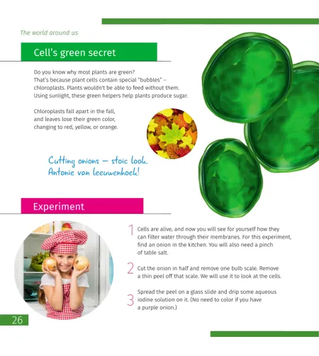 Mikroskopas, Discovery Micro Marine, 40x-640x, su knyga