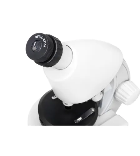Mikroskopas, Discovery Micro Polar, 40x-640x, su knyga