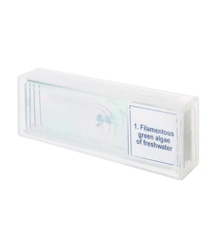 Discovery Prof paraugi DPS 5. &ldquo;Bioloģija&rdquo;