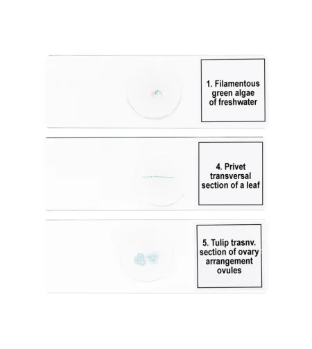 Discovery Prof paraugi DPS 5. &ldquo;Bioloģija&rdquo;