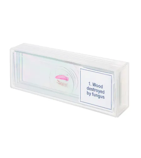 Discovery Prof Specimens DPS 5. &ldquo;Mutations&rdquo;