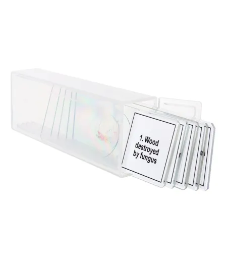 Discovery Prof Specimens DPS 5. &ldquo;Mutations&rdquo;