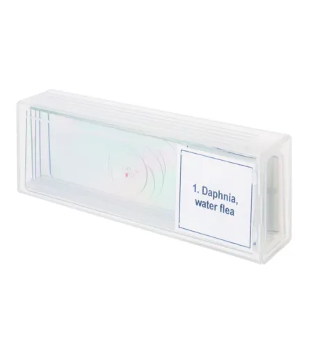 Mikropreparātu komplekts Discovery Prof DPS 5. "Dzīve ūdens pilē"