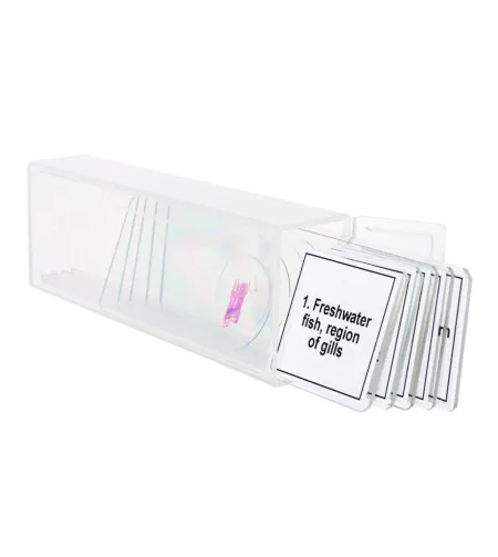 Discovery Prof Specimens DPS 5. &ldquo;Amphibia&rdquo;