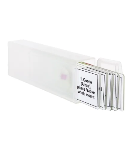 Discovery Prof DPS 5. Putnu slaidu komplekts