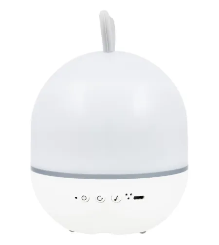 Levenhuk  Star Sky P2 Planetarium