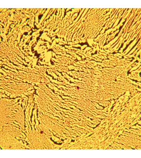 MAGUS Metal 600 Metallurgical Microscope