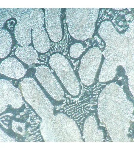 MAGUS Metal V700 Metallurgical Inverted Microscope