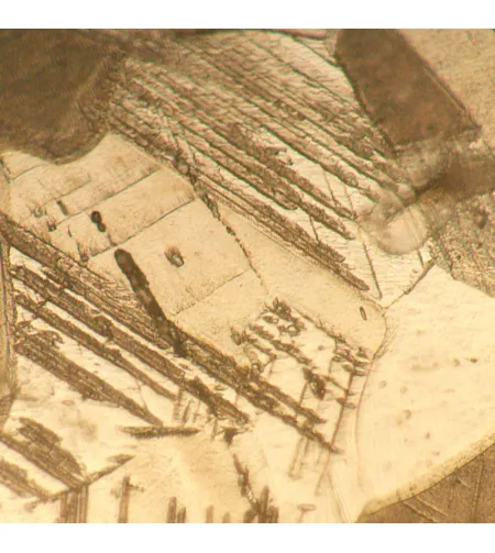 MAGUS Metal V700 BD Metallurgical Inverted Microscope