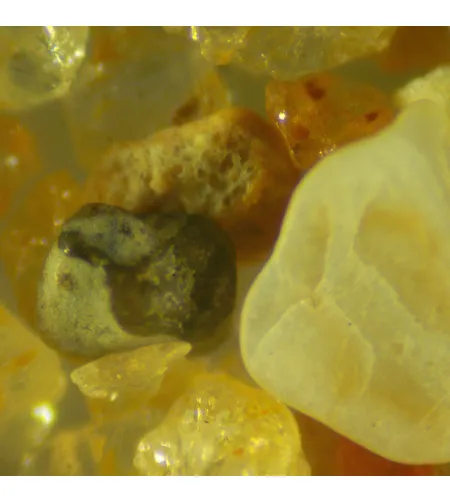 MAGUS Stereo 9T stereoskopinis mikroskopas