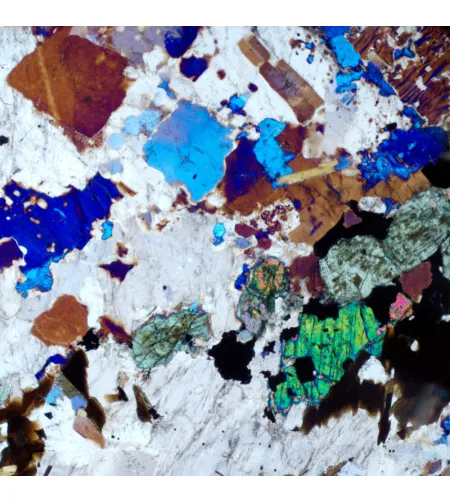 MAGUS Pol 800 Polarizing Microscope