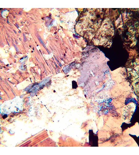 MAGUS Pol 800 Polarizing Microscope