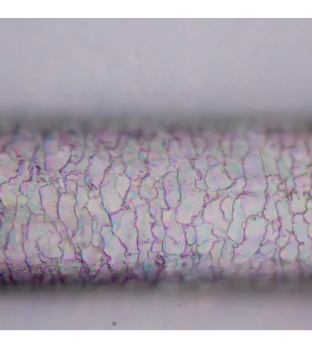 MAGUS Pol 800 Polarizing Microscope