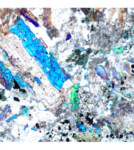 MAGUS Pol 850 Polarizing Microscope