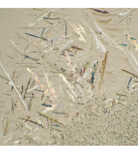 MAGUS Bio D230T Биологический цифровой микроскоп с ЖК-дисплеем