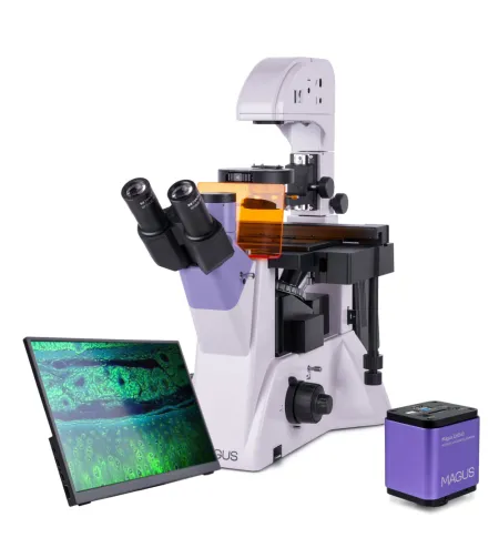Fluorescences invertētais digitālais mikroskops MAGUS Lum VD500 LCD