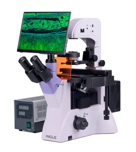 Fluorescences invertētais digitālais mikroskops MAGUS Lum VD500 LCD
