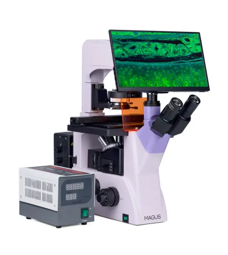 Fluorescences invertētais digitālais mikroskops MAGUS Lum VD500 LCD