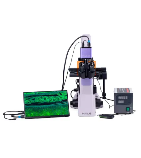 Fluorescences invertētais digitālais mikroskops MAGUS Lum VD500 LCD