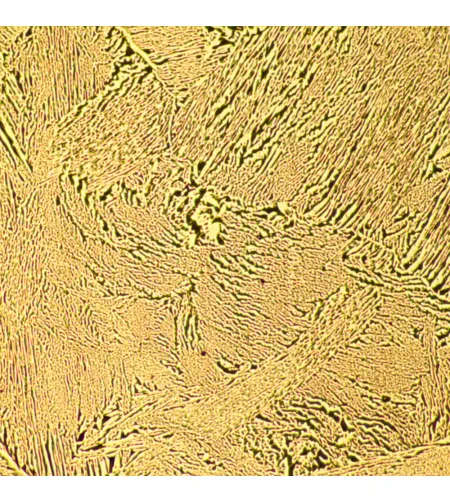 MAGUS Metal D600 LCD metallurgiline digitaalmikroskoop
