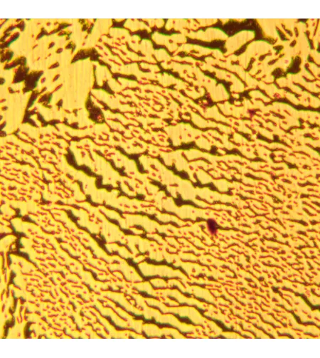 MAGUS Metal D600 LCD metallurgiline digitaalmikroskoop