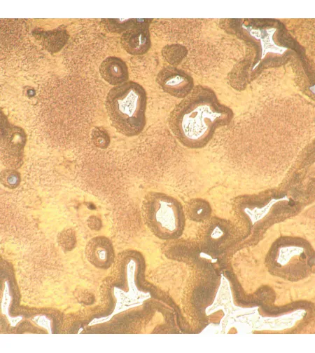 Металлургический цифровой микроскоп MAGUS Metal D650