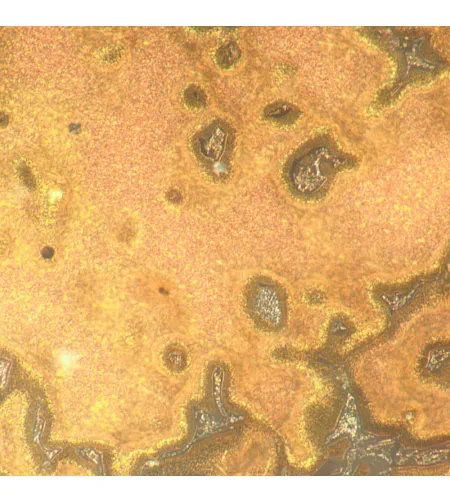 Металлургический цифровой микроскоп MAGUS Metal D650