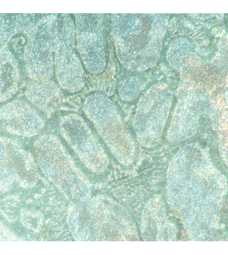 Металлографический инвертированныйцифровой микроскоп MAGUS Metal VD700 с ЖК-дисплеем