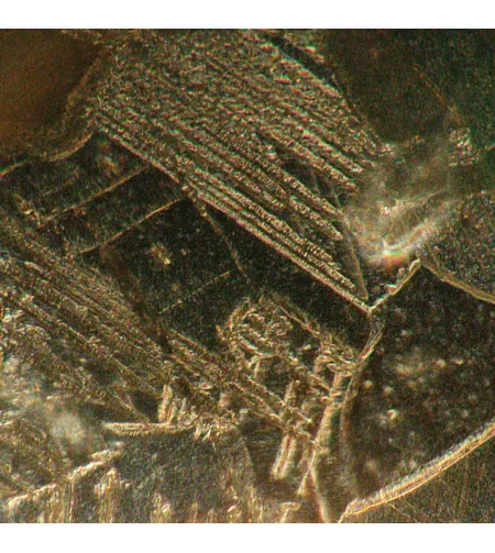 Metallograafiline pööratud digitaalne mikroskoop MAGUS Metal VD700 BD LCD