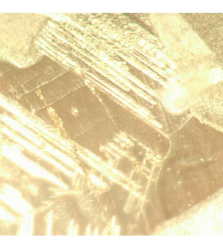 Metallograafiline pööratud digitaalne mikroskoop MAGUS Metal VD700 BD LCD