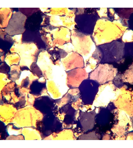 MAGUS Pol D800 Поляризационный цифровой ЖК-микроскоп